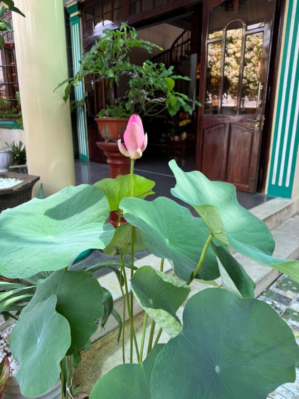 Noel Homestay Tuy Hoà Ngoại thất bức ảnh
